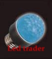 PaddestoelBlauwLT